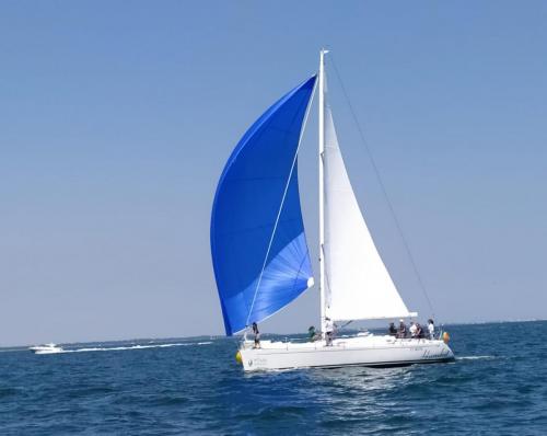 IMG-20220620-WA0016