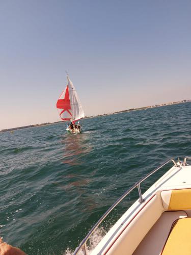 IMG-20220620-WA0024