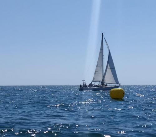 IMG-20220620-WA0078