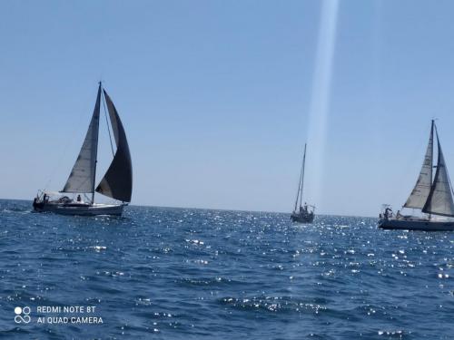IMG-20220620-WA0079