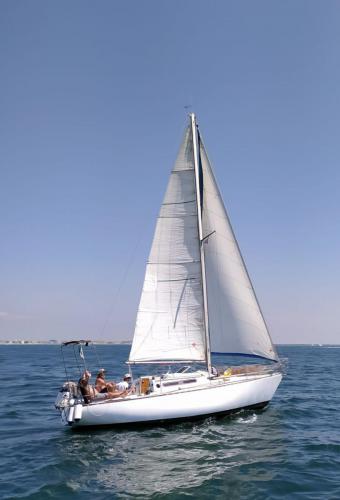 IMG-20220620-WA0094