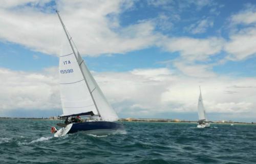 regata camillo 2016 2 49-15