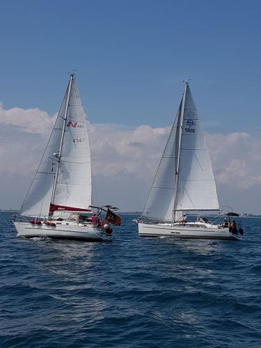 regata camillo 2018 61-2