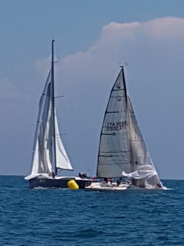 regata camillo 2018 61-8