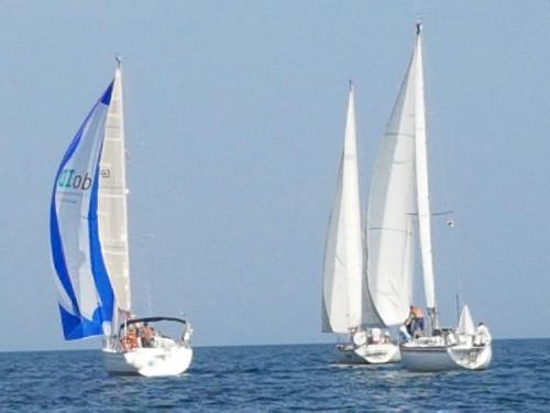 regata della madonnina 2016  55-13