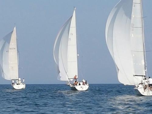 regata della madonnina 2016  55-14