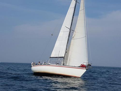 regata della madonnina 2016  55-5