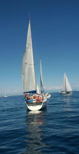 regata della madonnina 6 settembre 2015 47-7