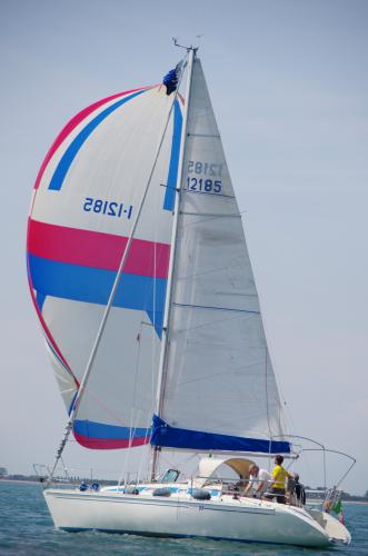 trofeo camillo 2015 31-50