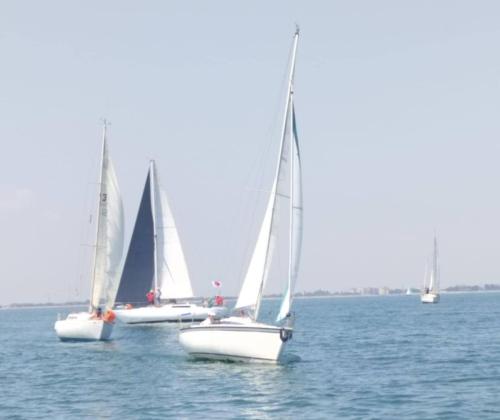 IMG-20250616-WA0073