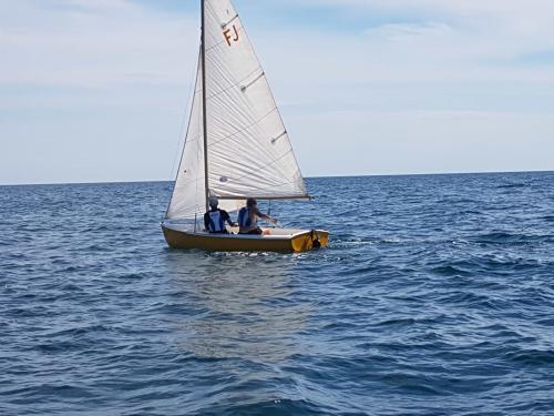 velagosto (16)
