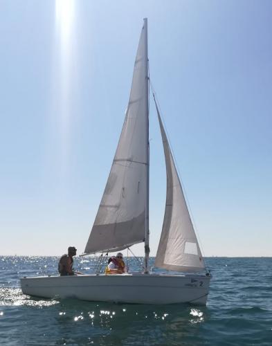 velagosto (27)